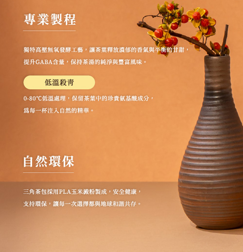 結核分枝桿菌04